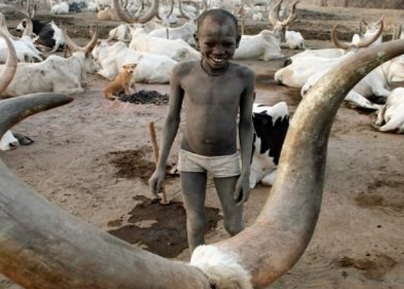 Sığır idrarıyla saçlarını yıkıyorlar! Bu gelenek sizi çok şaşırtacak - Resim: 2