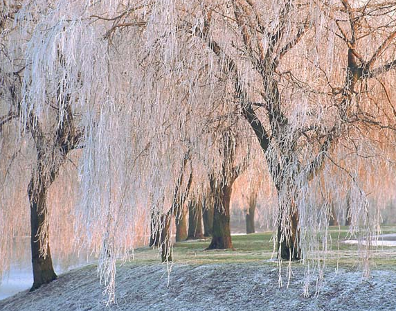 Tam o anda çekilen fotoğraflar - Resim: 3