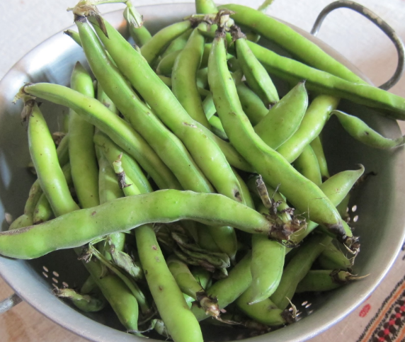 Bir bardak bakla kaç kaloridir işte mucize besinin insan vücuduna faydaları - Resim: 2