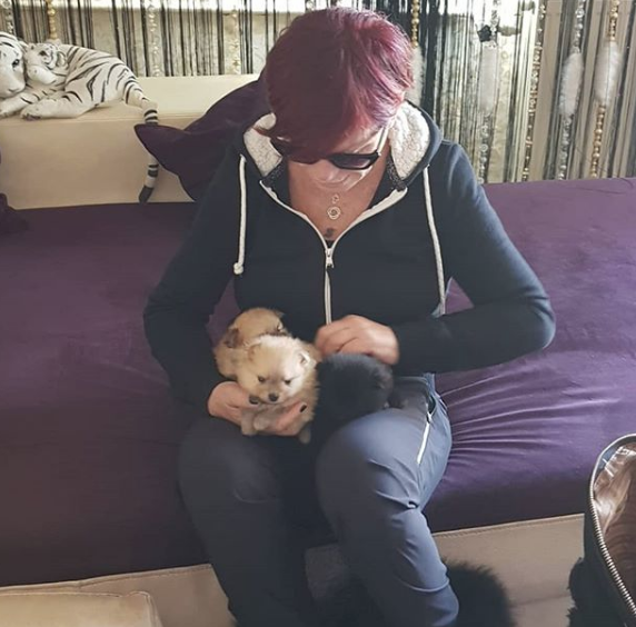 Olay papağan yorumundan sonra linç yiyen Müftüoğlu'ndan kızdıran savunma - Resim: 2