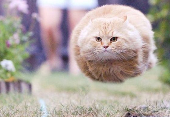 Bu fotoğraflar çok enterasan - Resim: 2