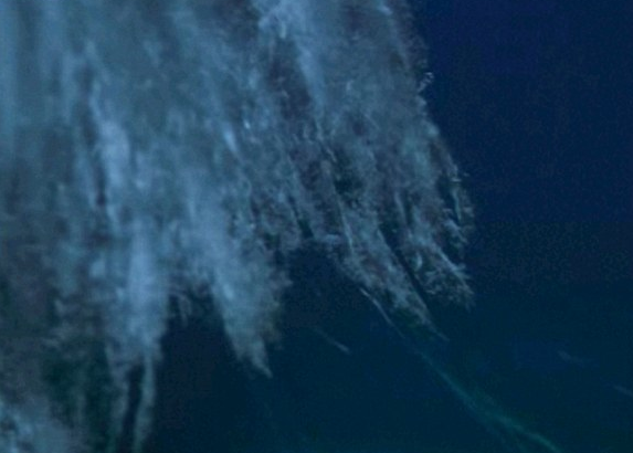 Ölüm sarkıtı ilk kez böyle görüntülendi - Resim: 3