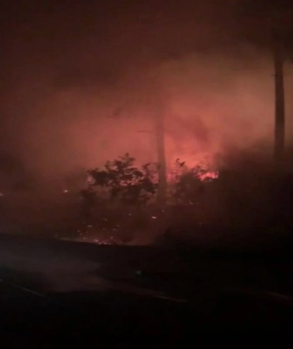 İstanbul Sarıyer'de orman yangını çıktı - Resim: 0