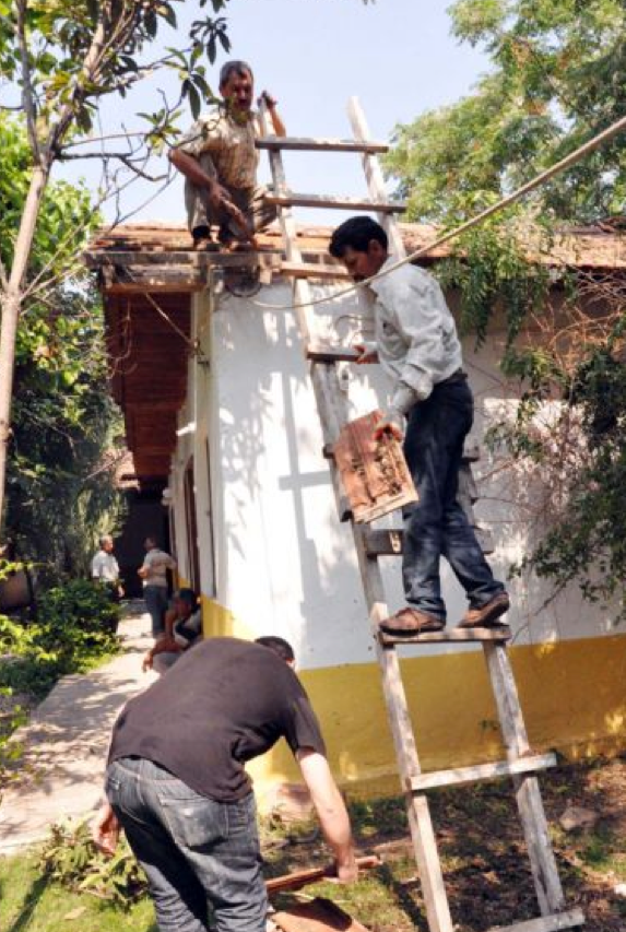 Yıkıma 'yoga'lı protesto! - Resim: 2
