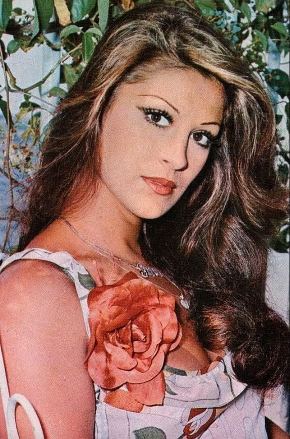 Güzelliğiyle Gülşen Bubikoğlu Twitter'a damga vurdu TT oldu son hali de büyüledi - Resim: 3