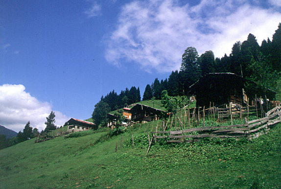 Kürtlerin yüzde 90'ı yeşil kartlı - Resim: 2