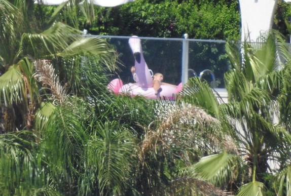 Sıla'nın flamingo deniz yatağı keyfi - Resim: 4