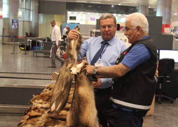 Havalimanında şoke eden görüntü! Unutulan valizden çıktı - Resim: 3