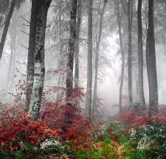 Bu fotoğrafların nerede çekildiğine inanamazsınız! - Resim: 1