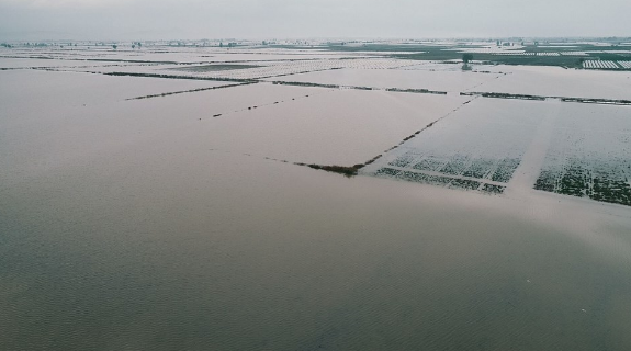 Mersin'de tarlalar ve seralar sele gitti çok büyük hasar var - Resim: 3