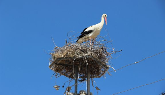 Felçli eşini 16 yıldır yalnız bırakmıyor - Resim: 3