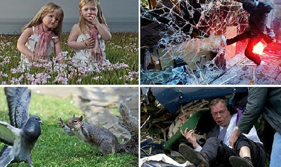 2011'in ödüllü en iyi fotoğrafları! - Resim: 1