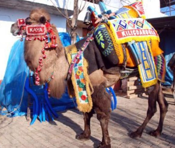 'Kılıçdaroğlu' satıldı - Resim: 3