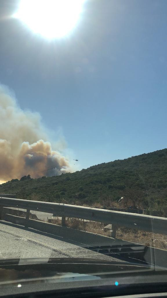 İstanbul Maltepe'de ormanlık alanda korkutan yangın! İşte ilk görüntüler - Resim: 1