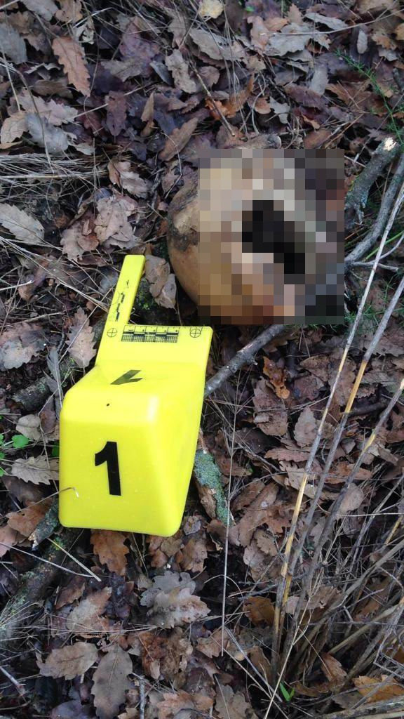 Manisa'da iki aydır kayıp İbrahim Sarısu vücudu parçalanmış halde ölü bulundu - Resim: 0