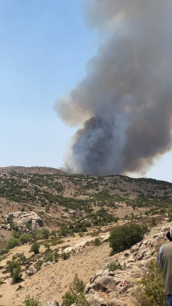 Burdur Çobanpınar'da orman yangını! Alevler 2 mahalleye sıçradı müdahale edilliyor - Resim: 1