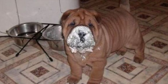 Sanal alemin tık rekortmenleri - Resim: 4