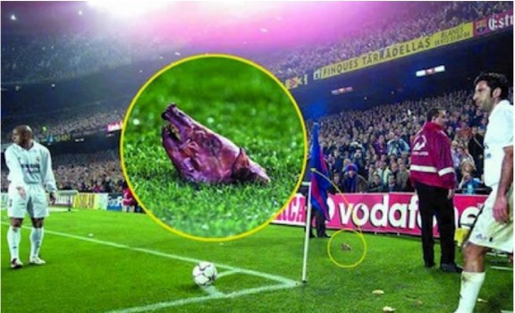 Yeşil sahalara neler atıldı neler? - Resim: 4