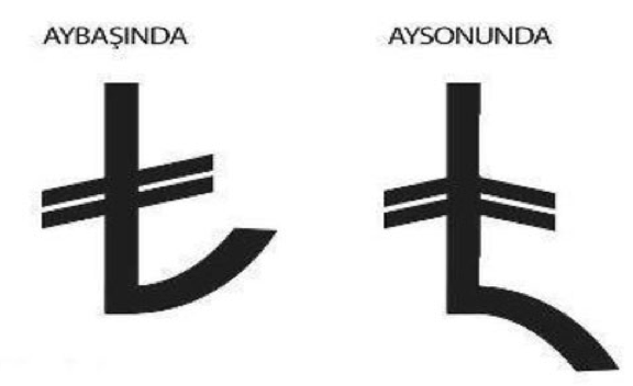 TL'nin simgesiyle bölge dalga geçtiler - Resim: 1