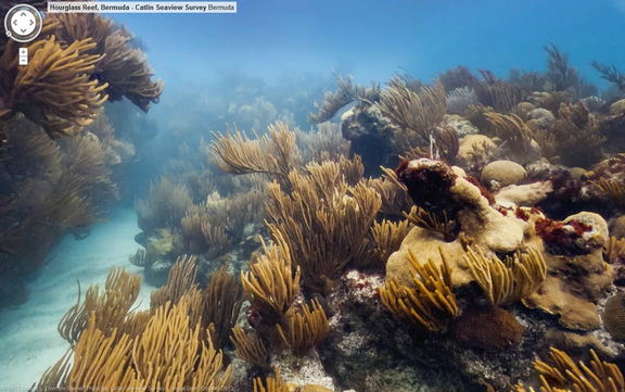 Google'a takılan en iyi manzaralar - Resim: 3