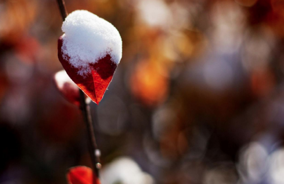 Meteoroloji'den uyarı verildi: Doğuda kar batıda yağmur etkili - Resim: 2