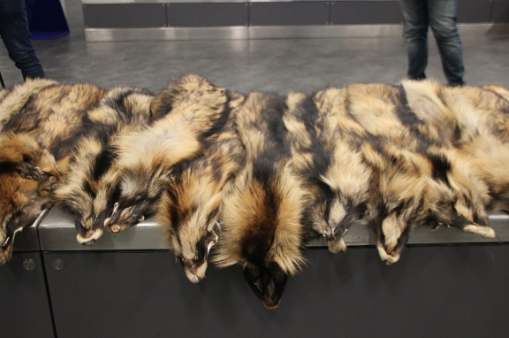 Havalimanında şoke eden görüntü! Unutulan valizden çıktı - Resim: 4