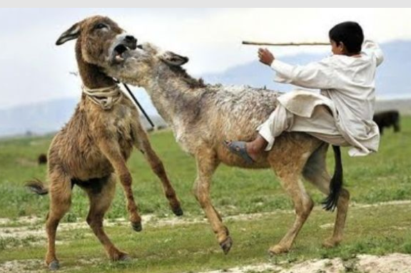 Bir oradan bir buradan bomba kareler - Resim: 2