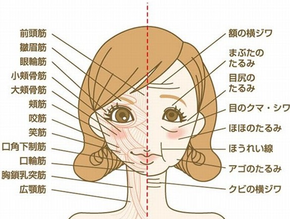 Bu Japonlar gerçekten çıldırmış - Resim: 3