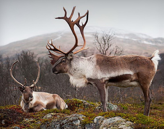 Tam o anda çekilen fotoğraflar - Resim: 4