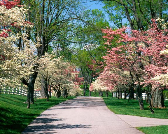 Tam o anda çekilen fotoğraflar - Resim: 4