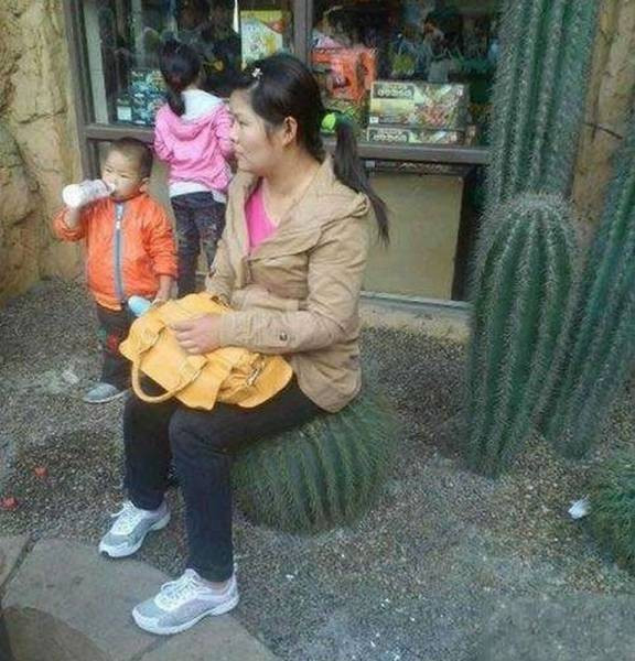 Günün en beğenilen 50 fotoğrafı - Resim: 4