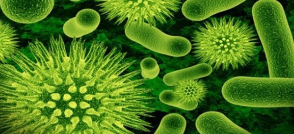 Kışın gripten koruyacak ev yapımı mucizeler hem de çok kolay! - Resim: 2