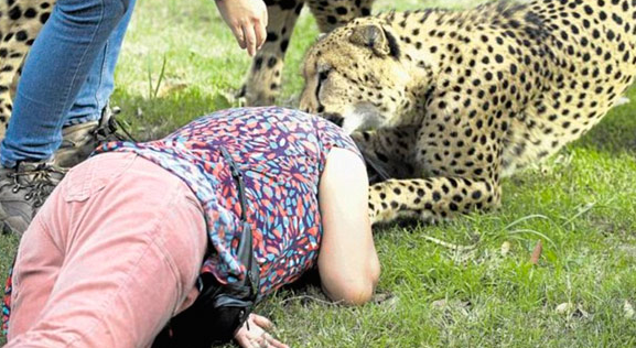 Çita dehşeti böyle görüntülendi! - Resim: 4