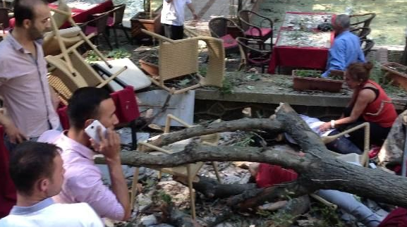 Devrilen o ağacın altından yürek burkan dram çıktı! - Resim: 3