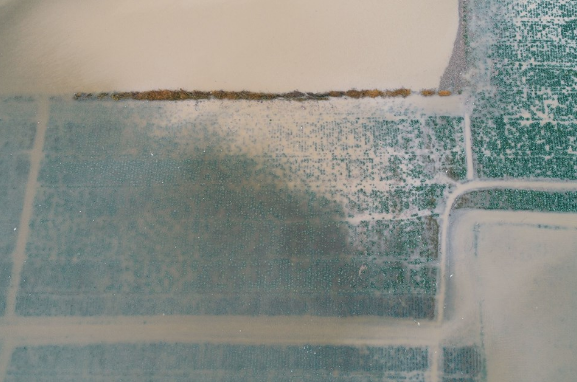 Mersin'de tarlalar ve seralar sele gitti çok büyük hasar var - Resim: 2