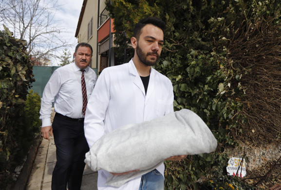 Gençlik hastalığından kurtarılamayan 'Fındık' bulunduğu mezarlığa gömülecek - Resim: 0