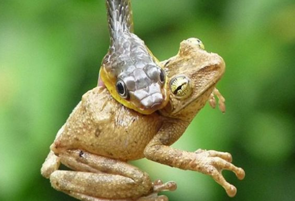 Tam da o an çekilen inanılmaz kareler - Resim: 1