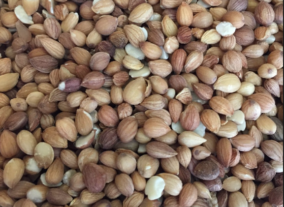 İlk bakışta herkes badem sanıyor! Kokusuyla baş döndüren mucize - Resim: 3