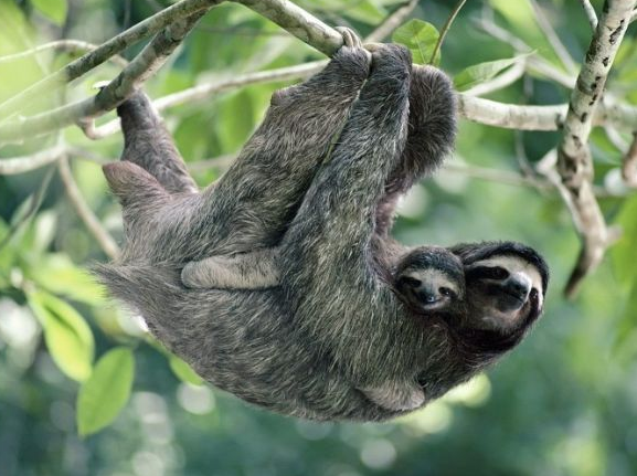 Gülmekten kırıp geçirecek kareler - Resim: 2