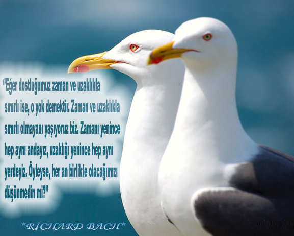 Bu sözler kulağınıza küpe olsun - Resim: 1