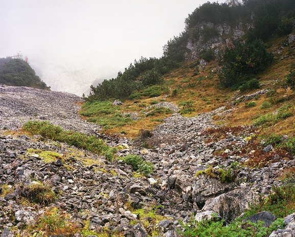 Ne kadar dikkatli bakarsanız bakın göremeyeceksiniz - Resim: 4