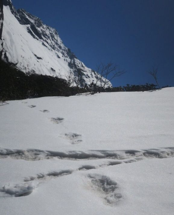 Ordu resmen açıkladı: Canavarın ayak izini bulduk - Resim: 3