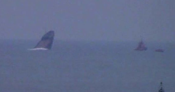 Geminin batışı saniye saniye görüntülendi - Resim: 2