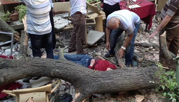 Devrilen o ağacın altından yürek burkan dram çıktı! - Resim: 1