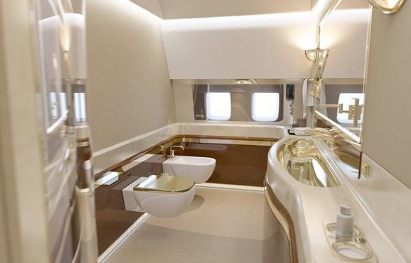 Görenin ağzı açık kalıyor! Putin’in altın tuvaletli lüks uçağı - Resim: 2