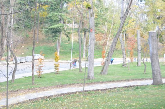 Türkiye'de kadın olmak zor - Resim: 2