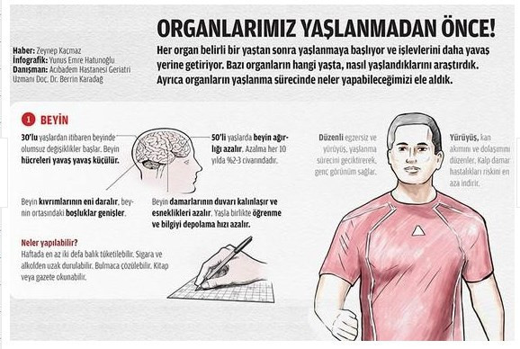 Hangi organ ne kadar sürede yaşlanır? - Resim: 2