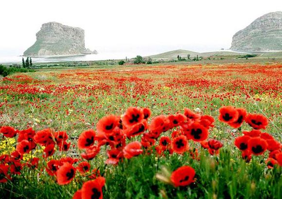 Bu fotoğrafların nerede çekildiğine inanamazsınız! - Resim: 4