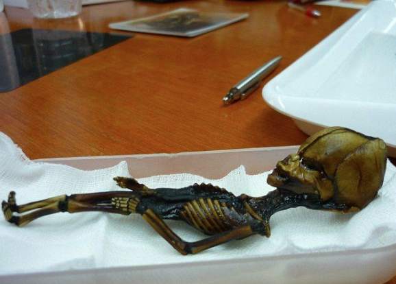 Uzaylı mumyası olduğu iddia edilmiş! Tüm sır çözüldü - Resim: 3