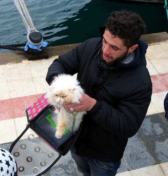 Kedili mülteci şaşırttı! - Resim: 1